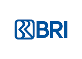 logo bri